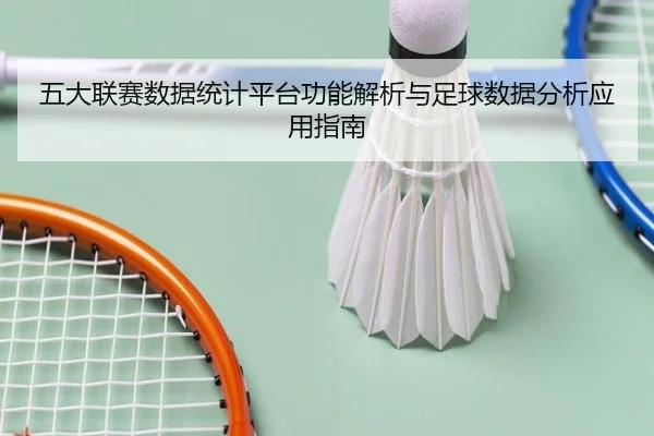 五大联赛数据统计平台功能解析与足球数据分析应用指南