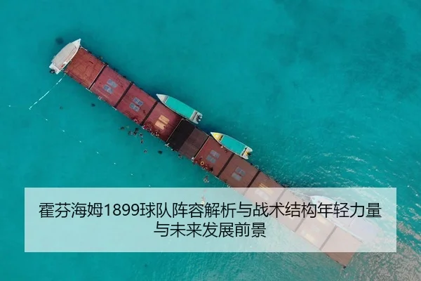 霍芬海姆1899球队阵容解析与战术结构年轻力量与未来发展前景