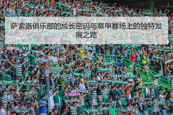 sa-suo-luo-ju-le-bu-de-cheng-zhang-mi-ma-yu-yi-jia-sai-chang-shang-de-du-te-fa-zhan-zhi-lu-2-188.jpg