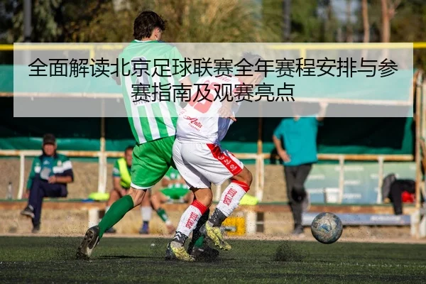 全面解读北京足球联赛全年赛程安排与参赛指南及观赛亮点