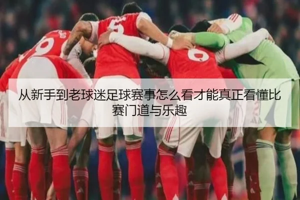 从新手到老球迷足球赛事怎么看才能真正看懂比赛门道与乐趣