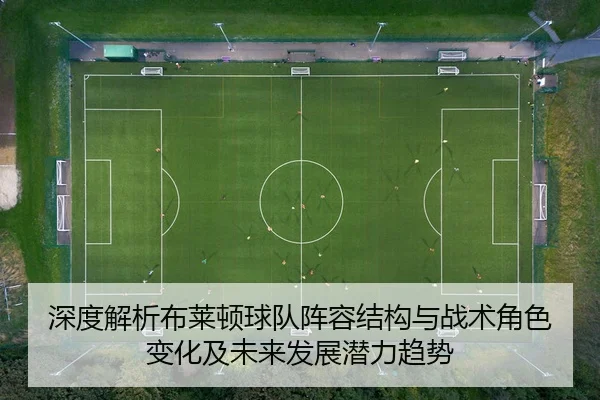 深度解析布莱顿球队阵容结构与战术角色变化及未来发展潜力趋势